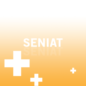 Seniat2-500x500